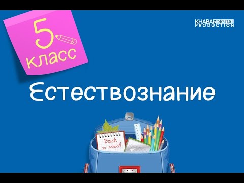 Естествознание. 5 класс. Компоненты экосистемы. Виды экосистемы /13.04.2021/