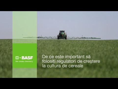 Video: Regulatoare De Creștere A Plantelor