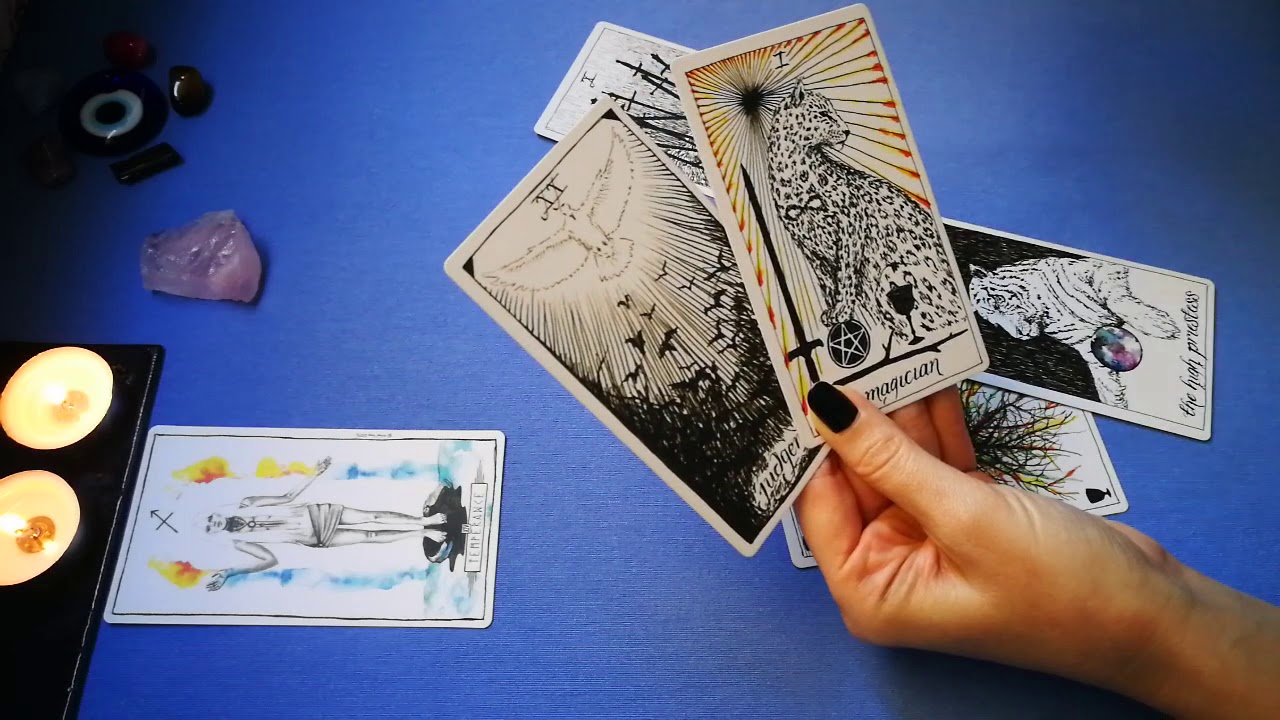 ¿Y AHORA, QUÉ?✨TAROT INTERACTIVO✨