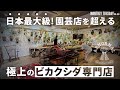 【園芸店巡り】日本最大級のビカクシダ専門店Botanical Mafiaに潜入!スーパードワーフから大型品種までまさに圧巻!