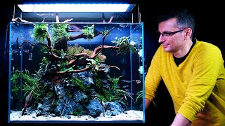SHAMELESS CLONING In Aquascaping | Building a 60H Planted Tank