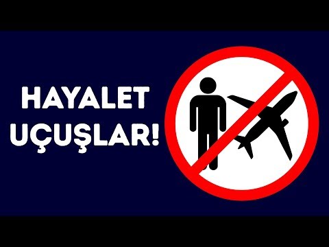 Video: Ayakta uçuş nedir?