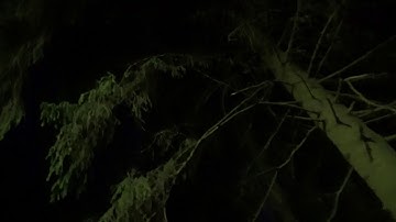 CHAOTIC SANITY: EXITUS (Official Music Video)