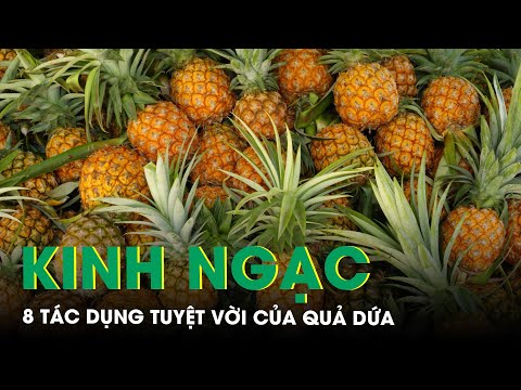 Video: Ưu và Nhược điểm của Việc ủ Dưa chua - Bạn có thể Cho Dưa chua vào Phân trộn không