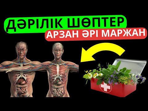 Бейне: Дәрілік өсімдіктер бақшасы - дәрілік шөптерді өсіру бойынша кеңестер