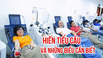 HIẾN TIỂU CẦU VÀ NHỮNG ĐIỀU CẦN BIẾT