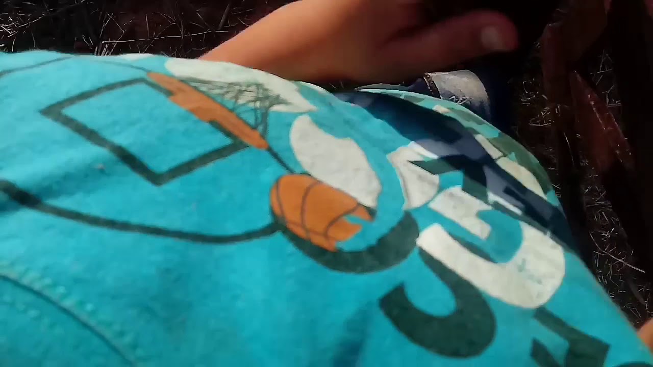 Mostrando os cavalos