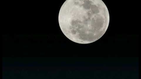 سورة الكوثر للشيخ حاتم فريد