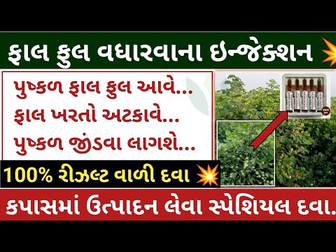 કપાસમાં ફાલ ફુલ વધારવાના ઇન્જેક્શન 💥 પુષ્કળ ફાલ માટે 100% રીઝલ્ટ વાળી દવા 💥 | kapas | khedut sahay