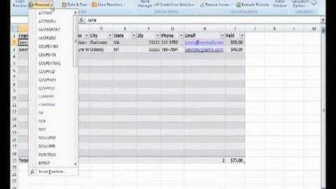 Microsoft Office Excel Formula and the Function Library