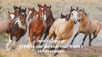 100. Al-'Adiyat, Svenska,  Hazza Al-Balushi,  سورة العاديات