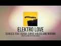 Dj mod  elektro love featuring dcash curse  bless and brenan