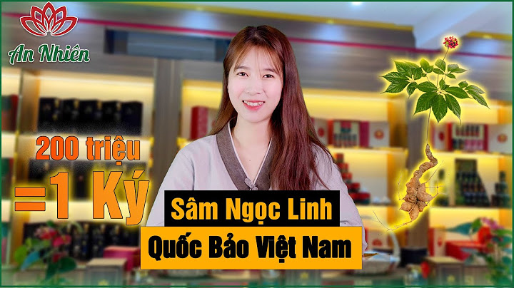 Cây sâm ngọc linh được tìm thấy vào năm nào năm 2024