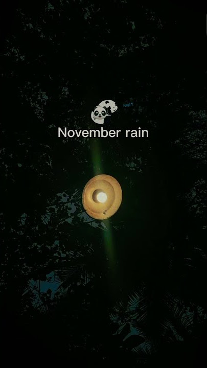 story wa November rain🌧️