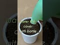 Growing palm tree from seed shorts palmtree viral