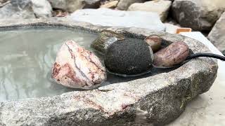 Backyard rock transformation into a birdbath