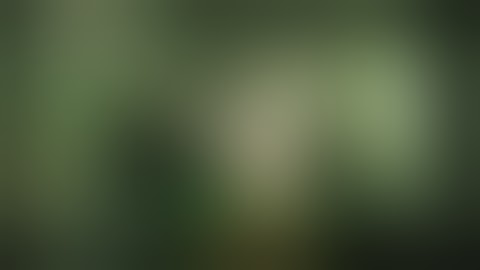 The House of the Dead: Overkill Part 13: Scream Train Uncut