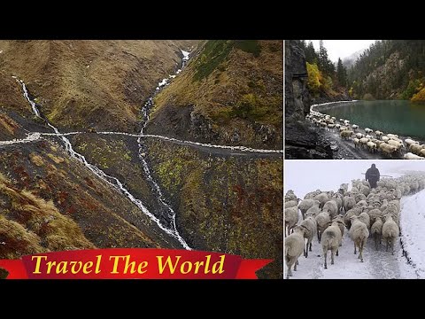 Amos Chapple مهاجرت حیوانات در گرجستان را به تصویر می کشد - راهنمای سفر در مقابل رزرو
