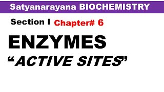 Chp#6 Satyanarayana Biochemistry | Active Sites on Enzymes | Biochemistry Lectures