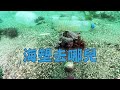 【海洋垃圾】海塑去哪兒｜了解台灣海底垃圾有哪些？ (我們的島 第1085集 2020-12-14)