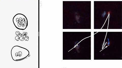 Openstax Astronomy Chapter 23