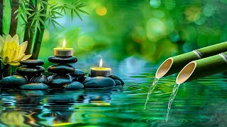 Beautiful Piano Music  Bamboo, Relaxing Music, Nature Sounds, Relieves Stress Music, Calming music