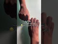 ترند العيديه