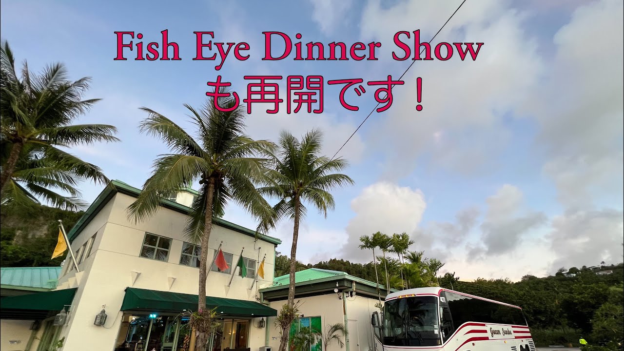 Fish Eye Dinner Showの再開です YouTube