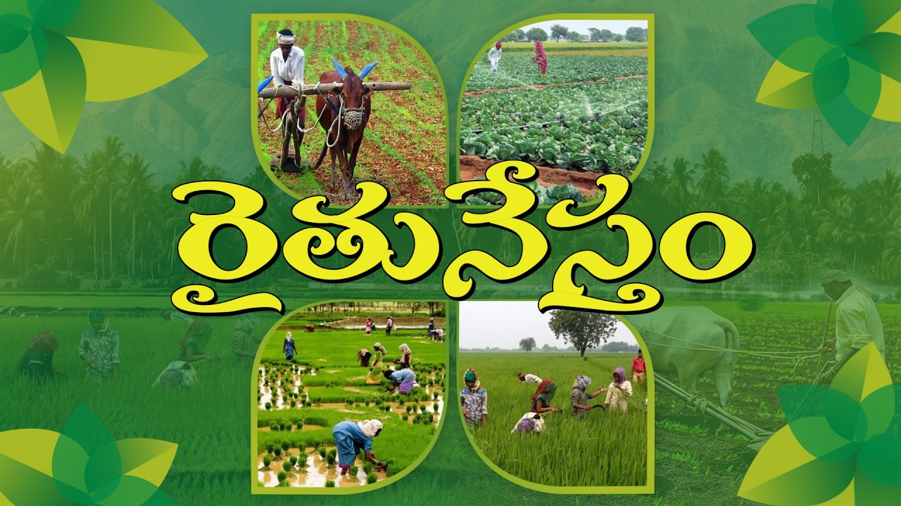 పాడి పశువుల పాలల్లో వెన్న శాతం పెంపొందించే విధానం |  పశువుల్లో క్షయ వ్యాధి నివారణ |  #Raithunestham