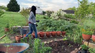 April Cottage Garden Tour  Silent Garden Tour