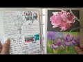 Посткроссинг. Альбомы с коллекциями открыток. Часть вторая. Цветы и растения.