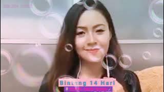 BINTANG 14 HARI- BABY SHIMA Cover smule