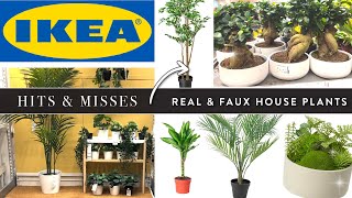 Best Fake Plants At Ikea | Ultimate Ikea Plant Shopping Guide | Ikea Indoor Plants