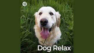 Lullaby for Relaxed Dogs (No Fade, Loopable)