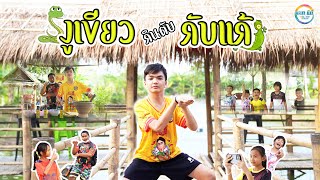 งูเขียวกินตับกับแก้ - น้องภูไท [ Cover MV ] น้องอินดี้แอนด์เดอะแก๊งค์ บะเค ซิตี้