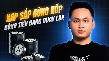 Sự Thật Về XRP: Tiềm Năng, Rủi Ro & Dự Báo Giá Đến 2026!