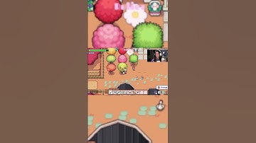 Fields of Mistria Mini Series Part 1