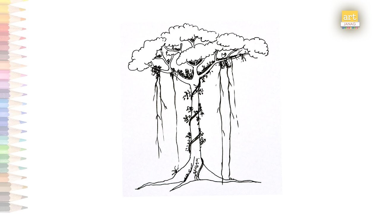 Rainforest tree drawing easy | Dibujar un arbol facil | How to ...