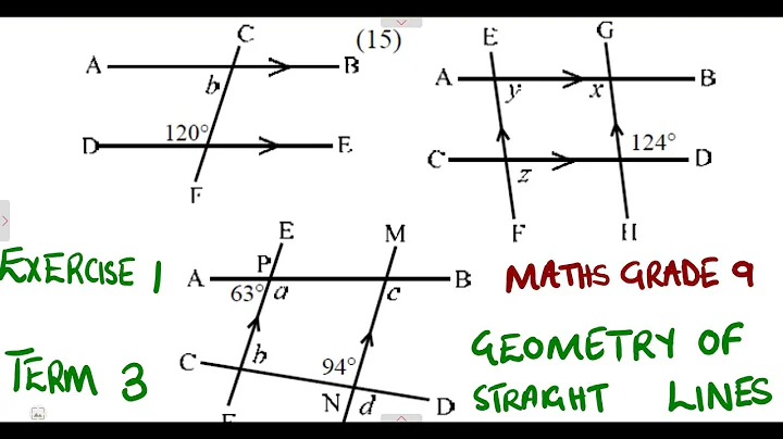 Mathematics Grade 9 Geometry of Straight Lines Exercise 1 Term 3 @mathszoneafricanmotives