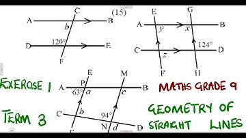 Mathematics Grade 9 Geometry of Straight Lines Exercise 1 Term 3 @mathszoneafricanmotives