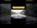 踩煞車！？男子擔憂追尾，女司機不知所措，最終偏離車道，開道溝裡！#automobile #搞笑 #車 #駕駛 #行車紀錄器 #driving #drivinglessons