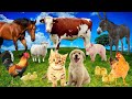 Animal sounds in the wild horses cows donkeys sheeps pigs dogs