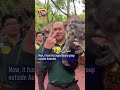 20 Years of Cuddles: Guangzhou Chimelong Safari Park Celebrates Koala Milestone