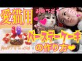 【愛猫用】バースデーケーキの作り方！！