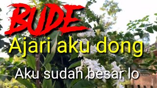 Cerita dewasa||Pengalaman ku diajari bude tentang itu