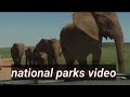 Addo National Park video - (Elephants; Lions; Buffalos; Kudu and many other wildlife)