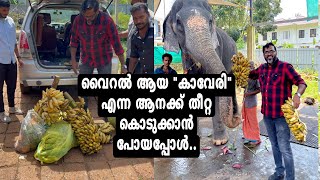 വൈറൽ ആയ "കാവേരി" എന്ന ആനക്ക് തീറ്റ കൊടുക്കാൻ പോയപ്പോൾ. | kaveri Elephant | Moinus vlogs