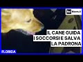 Il cane guida i soccorsi e salva la padrona