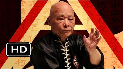 Hung Gar Fighting Techniques: Grandmaster YC Wong ...