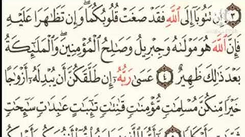 سورة التحريم مكتوبة برواية حفص عن عاصم القارئ محمد الصباغ